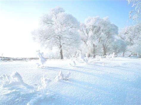 形容冬天雪景仙气十足的诗句是什么啊-百度经验