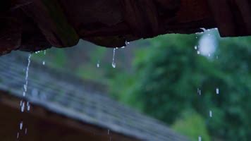 下大雨：农村媳妇去地里放水，回家被婆婆说一顿，到底发生了啥事_凤凰网视频_凤凰网