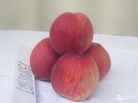 桃家族名单公布 桃类水果有哪些品种 - 鲜淘网