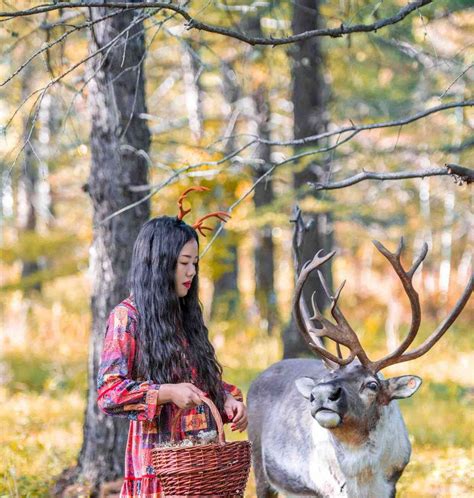 中国最后一个驯鹿之乡，家家户户都有养小鹿，超适合旅客去拍照！__财经头条