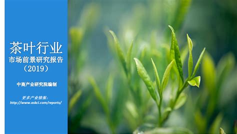 赞！福建再添6个茶树新品种_福建新闻_新闻频道_福州新闻网