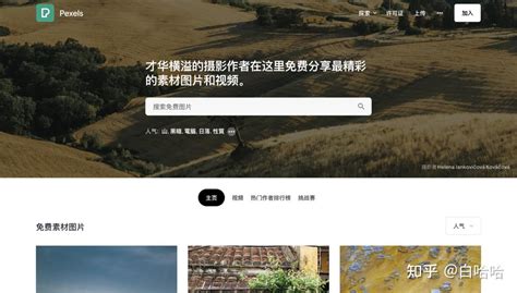 Pexels 免费可商用图片素材视频素材下载网站！ | 图钉办公