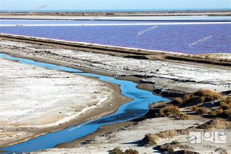 saline de Giroud, Camargue, France, Stock Photo, Picture And Rights ...