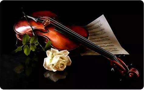 海菲兹/莫扎特：第四小提琴协奏曲，第五小提琴协奏曲《土耳其》/维瓦尔第：小提琴与大提琴协奏曲，RV 547 - 索尼精选