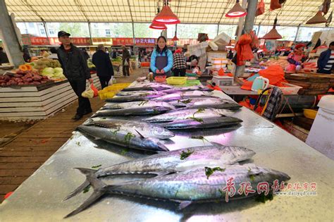 探访休渔期青岛海鲜市场 各类海鲜价格平稳 - 青岛新闻网