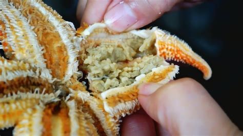 黑松露怎么吃，分享新鲜黑松露的四个“最”食用方法-爱松露网