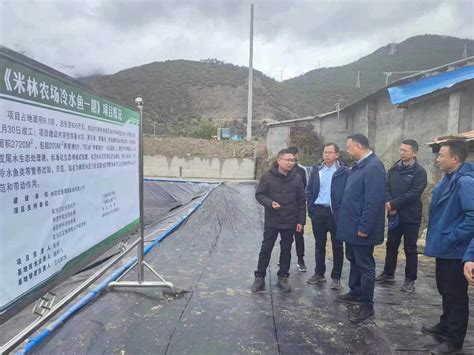 西藏林芝市领导视察林芝香鱼养殖基地，称其为“藏香鱼” - 鸭绿江香鱼官网