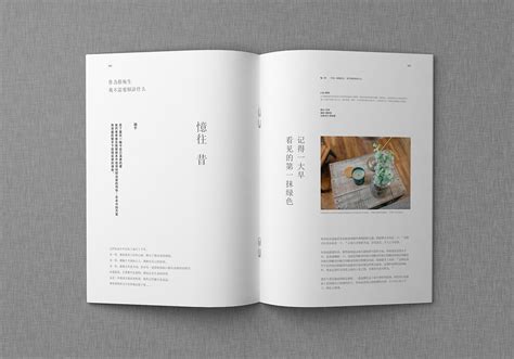 顶尖视觉创意-书籍设计|平面|书籍/画册|ZHNNAN - 原创作品 - 站酷 (ZCOOL)