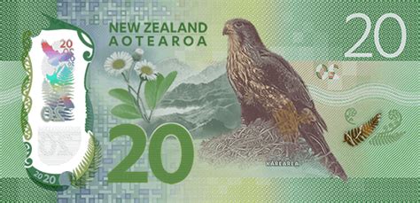 世界最漂亮的钞票- 新西兰（新西兰元）_图片欣赏_食品图库_食品伙伴网