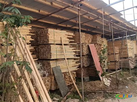 沈阳建筑模板回收木材批发市场价格 - 八方资源网