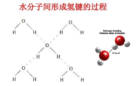 分子间氢键 - 快懂百科