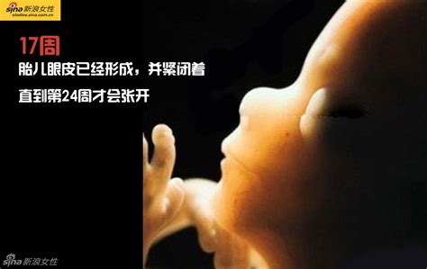 科学网—【转】高清图解人类胎儿发育过程 - 李继存的博文
