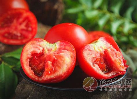 西红柿是凉性还是热性，西红柿的饮食禁忌-秒火食品代理网