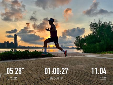 熊黛林晨跑图片