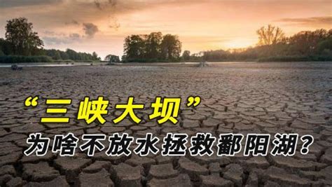 长江缺水、鄱阳湖见底，三峡大坝为啥不放水？_高清1080P在线观看平台_腾讯视频