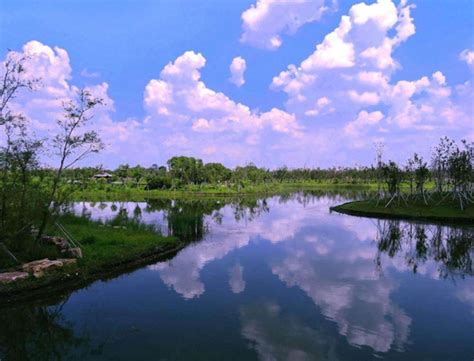2023长春北湖国家湿地公园游玩攻略,长春北湖湿地公园，值得常去...【去哪儿攻略】