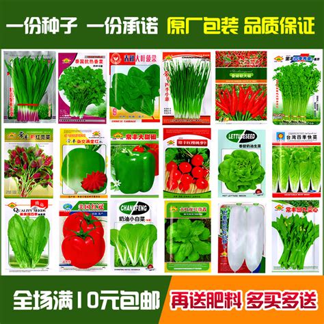 四季菜的图片