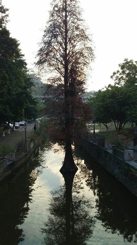 广州外语外贸大学是几本学院