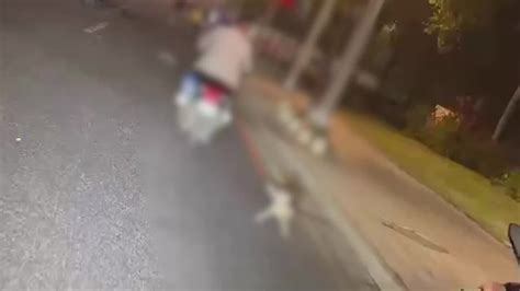 男子拖行小猫致死，目击者：他说因猫不愿坐车_凤凰网视频_凤凰网