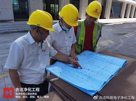 509.洁咪3(洁净天空形态)草属性~种子闪光图片