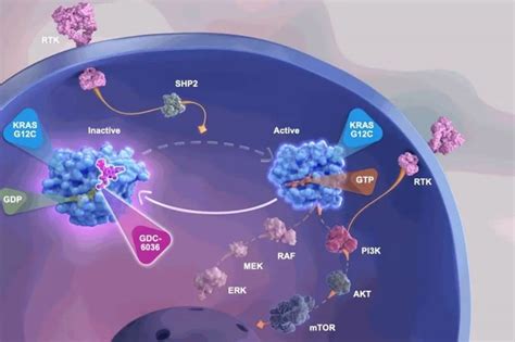 KRAS G12C丨中国最大规模泛癌种KRAS G12C突变全景分析！_基因