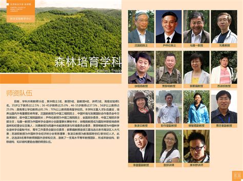 北京林业大学林学院展板设计-海报设计作品|公司-特创易·GO
