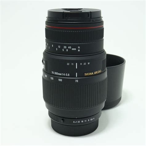 SIGMA (シグマ) APO 70-300mm F4-5.6 DG MACRO ペンタックス｜一眼レフ用レンズ (SLR Lenses ...