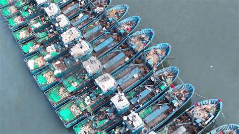 【独家】中国首个全自动化码头：厦门远海开港十周年庆典预告-港口网
