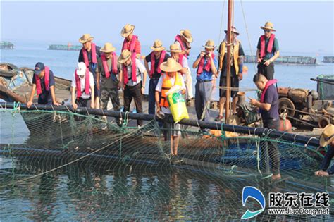 渔业科技服务团成员赴长兴岛深入探讨多营养层级养殖模式_科创中国