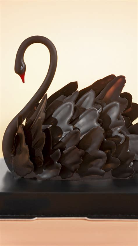 潍坊艾妮卡-网红黑天鹅蛋糕制作视频_腾讯视频