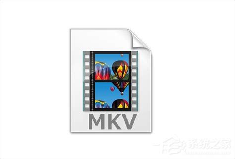 mkv文件用什么播放器（mkv文件怎么转换成mp4？） | 说明书网