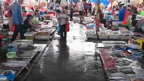 广西钦州港码头最大的海鲜市场，各种各样的海鲜琳琅满目，新鲜肥美又便宜