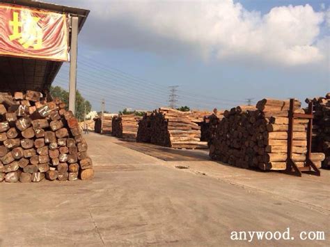 国内木材市场批发在哪里?_木材之家