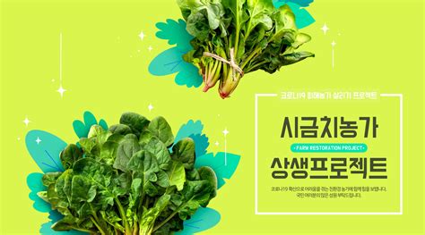 菠菜农产品宣传广告海报设计模板 – 设计小咖