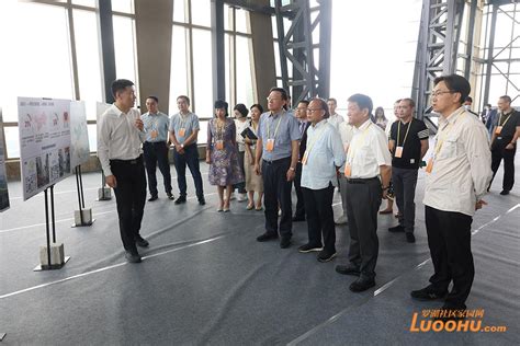 南方日报 | 深圳罗湖：“湾区枢纽”发动核心“引擎”_澎湃号·政务_澎湃新闻-The Paper