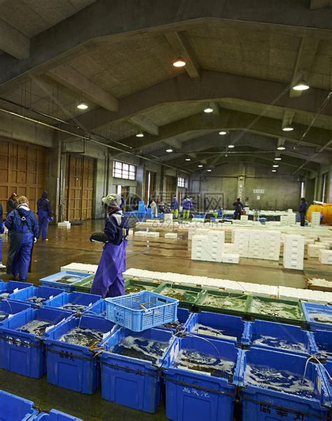 海鲜批发市场的渔民高清图片下载-正版图片502074491-摄图网
