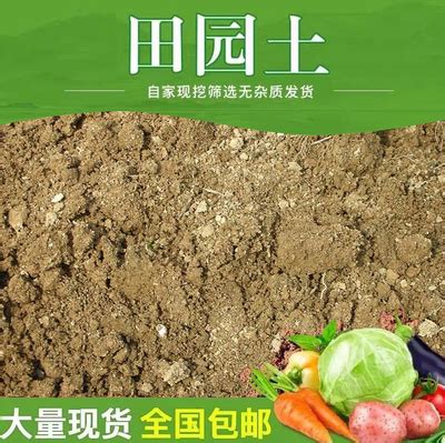 中国15种主要土壤类型和具体分布地区_种植