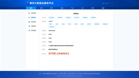 肇庆大数据云服务平台|网页|其他网页|junjun521_原创作品-站酷ZCOOL