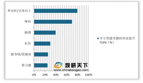 健身器材市场分析报告_2017-2023年中国健身器材市场前景研究与市场全景评估报告_中国产业研究报告网