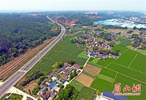 2022中国国际竹产业交易博览会将于12月8日在青神开幕 亮点抢先看_四川在线