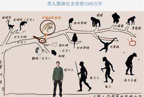 科学家有证据表明 中国人的祖先 是从非洲来的 __凤凰网