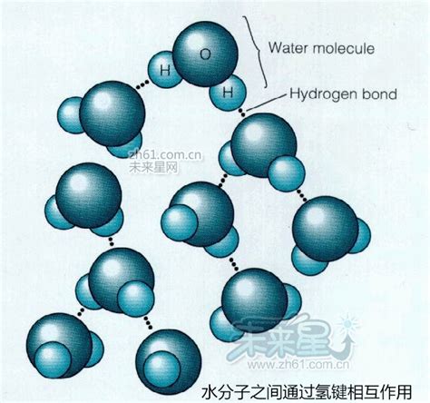 水的化学性质，水分子