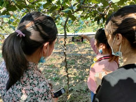 2021年宜阳电商培训实践暨助力白雁河猕猴桃上行活动成功举办！