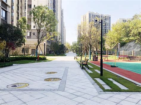 重庆桃源居国际花园五区四期景观工程-重庆市天境生态环境有限公司