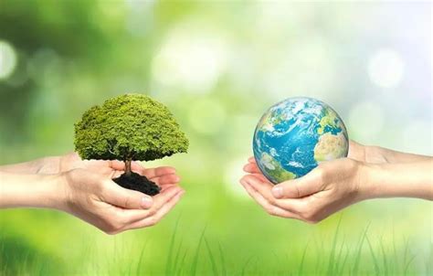 环境生态海报-环境生态海报模板-环境生态海报设计-千库网