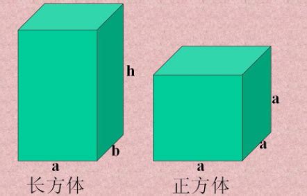 长方体的体积公式_长方体的棱长总和_淘宝助理