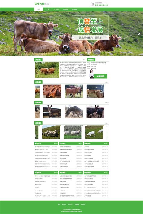 家禽养殖场网站建设|养殖场网站模板免费下载_易优CMS