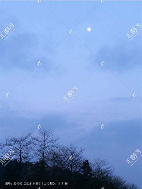 月上枝头,天空云彩,自然风景,摄影,汇图网www.huitu.com