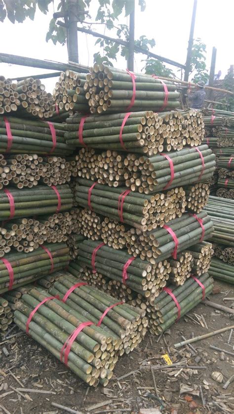 厂家供应竹尾竹杆长度6米小头直径9*11公分 毛竹 竹尾-阿里巴巴
