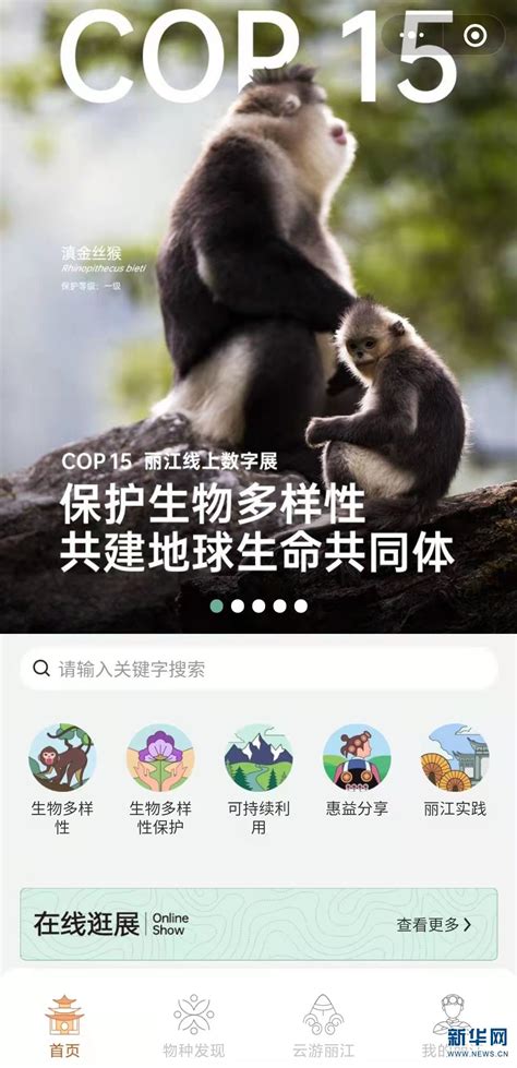 COP15“丽江线上数字展”上线 全面体现丽江生物多样性及保护的独特性__财经头条